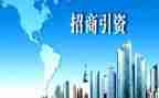 关于招商引资工作总结8篇