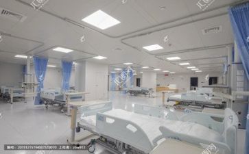 进医院工作总结范文模板6篇