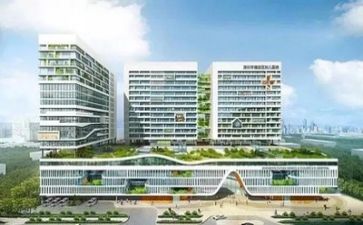 2024年度医院个人述职报告6篇