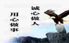 信息技术与应用心得体会8篇
