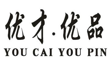 优才计划心得体会7篇