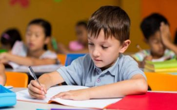 幼儿园专题活动总结5篇