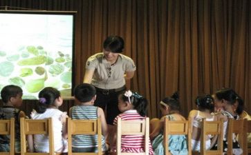 2024年幼师工作个人总结优质7篇