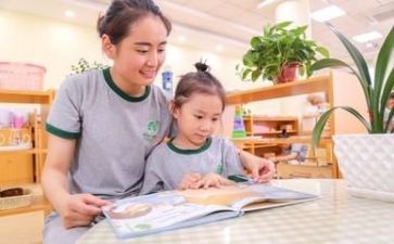 2024年幼师工作个人总结参考5篇