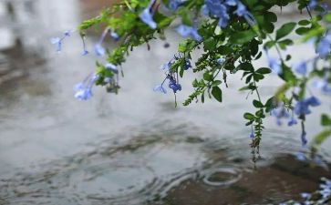 曹禺《雷雨》读后感8篇