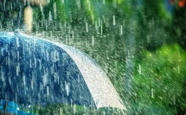 雨中校园作文推荐8篇