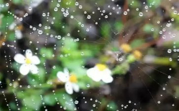 读雷雨读后感模板7篇