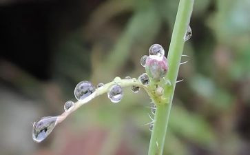 大班秋天的雨教案反思6篇