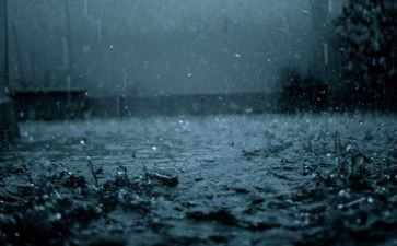 江南雨作文5篇