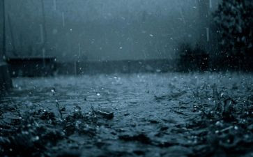 关于雨的演讲稿参考8篇