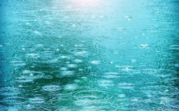 雨露赞作文6篇