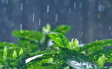 《雨巷》教案6篇