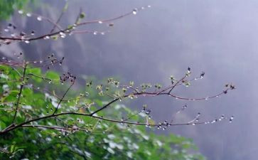我是雨作文500字作文5篇