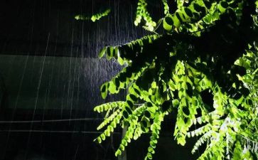 关于雨的演讲稿优质5篇