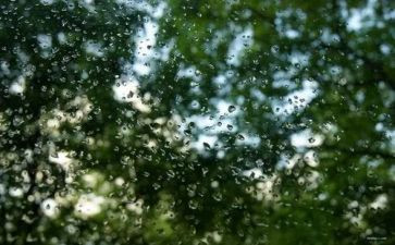 关于《雷雨》的读后感7篇