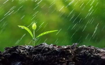 雨点儿教学反思推荐8篇