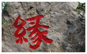 小狗缘作文优秀8篇