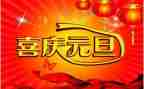 公司元旦方案策划通用6篇