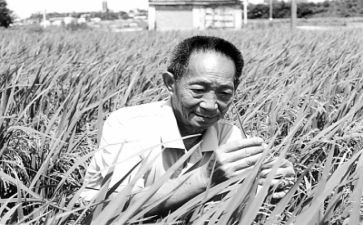 袁隆平小作文推荐7篇