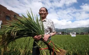 袁隆平小作文模板5篇