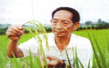 袁隆平小作文6篇