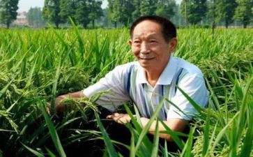 袁隆平小作文参考5篇