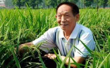 敬袁隆平的作文最新7篇