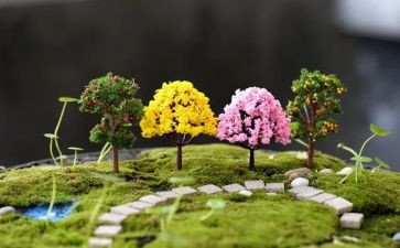写校园艺术节的作文6篇