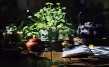 阅读主题演讲稿5篇