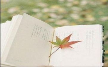 阅读管工作总结6篇