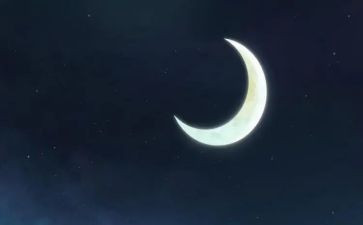 但月亮作文优秀8篇