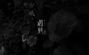 最的遇见作文6篇