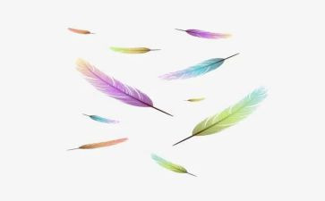 打羽毛球体会心得体会8篇