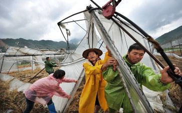 灾后调研报告6篇