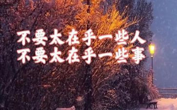 我在乎的作文8篇