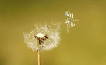 再见亲爱的母校作文5篇