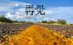 再见初中作文最新8篇