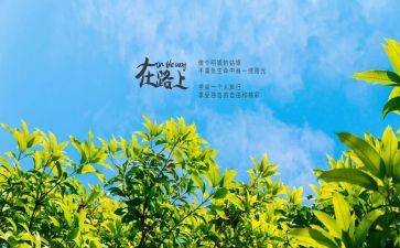 在路上作文范文800字6篇