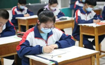 实训在校心得体会5篇