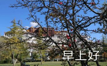 买早餐作文600字5篇