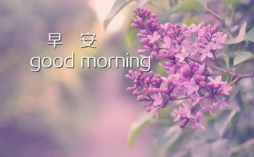 早教老师心得体会5篇