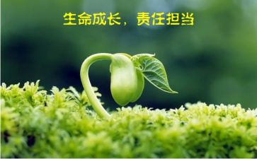 教师爱与责任演讲稿模板5篇