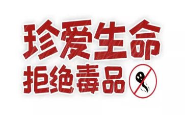 张子权观后感参考6篇