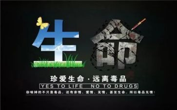 张子权观后感精选7篇