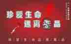 张子权观后感8篇