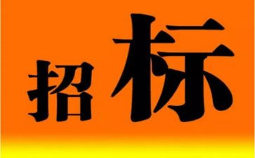 工程招标工作总结7篇