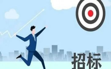 招标类工作总结5篇