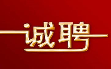 招聘公司工作总结8篇