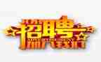 招聘的简历模板8篇