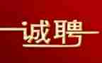 招聘公司工作总结8篇